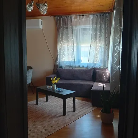 Vendégház Comfort Mineralni Bani